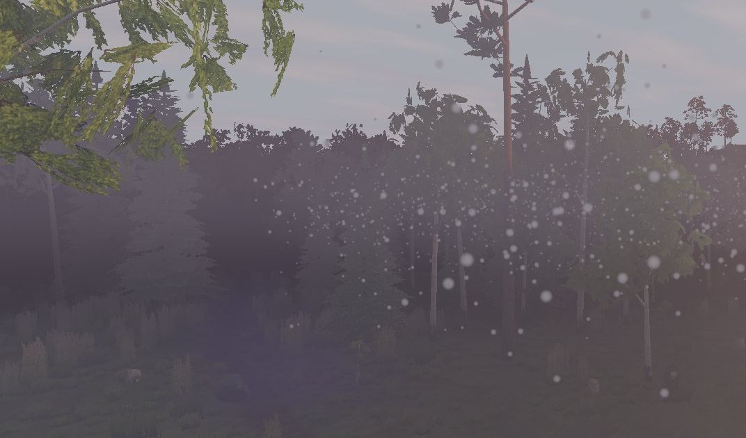 Dense fog in the forest, the trees fading to grey