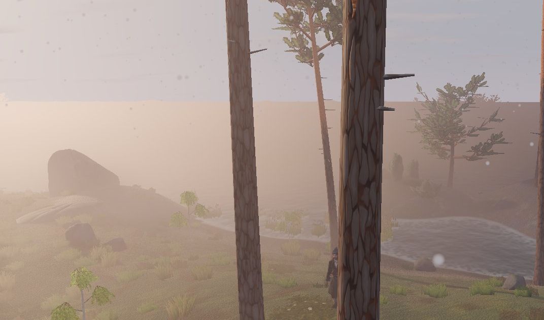 Morning mist rolling over the lake shore between tall pines