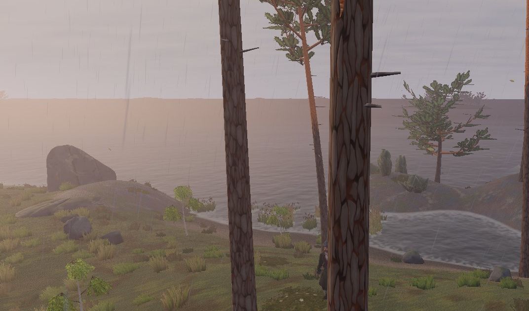 Grey rain over the shore and the lake